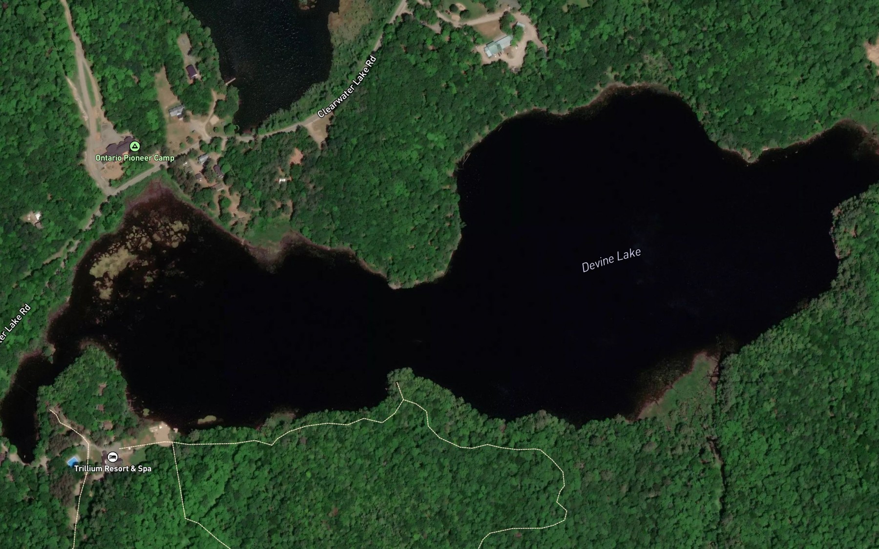 Satellite map of the Devine Lake