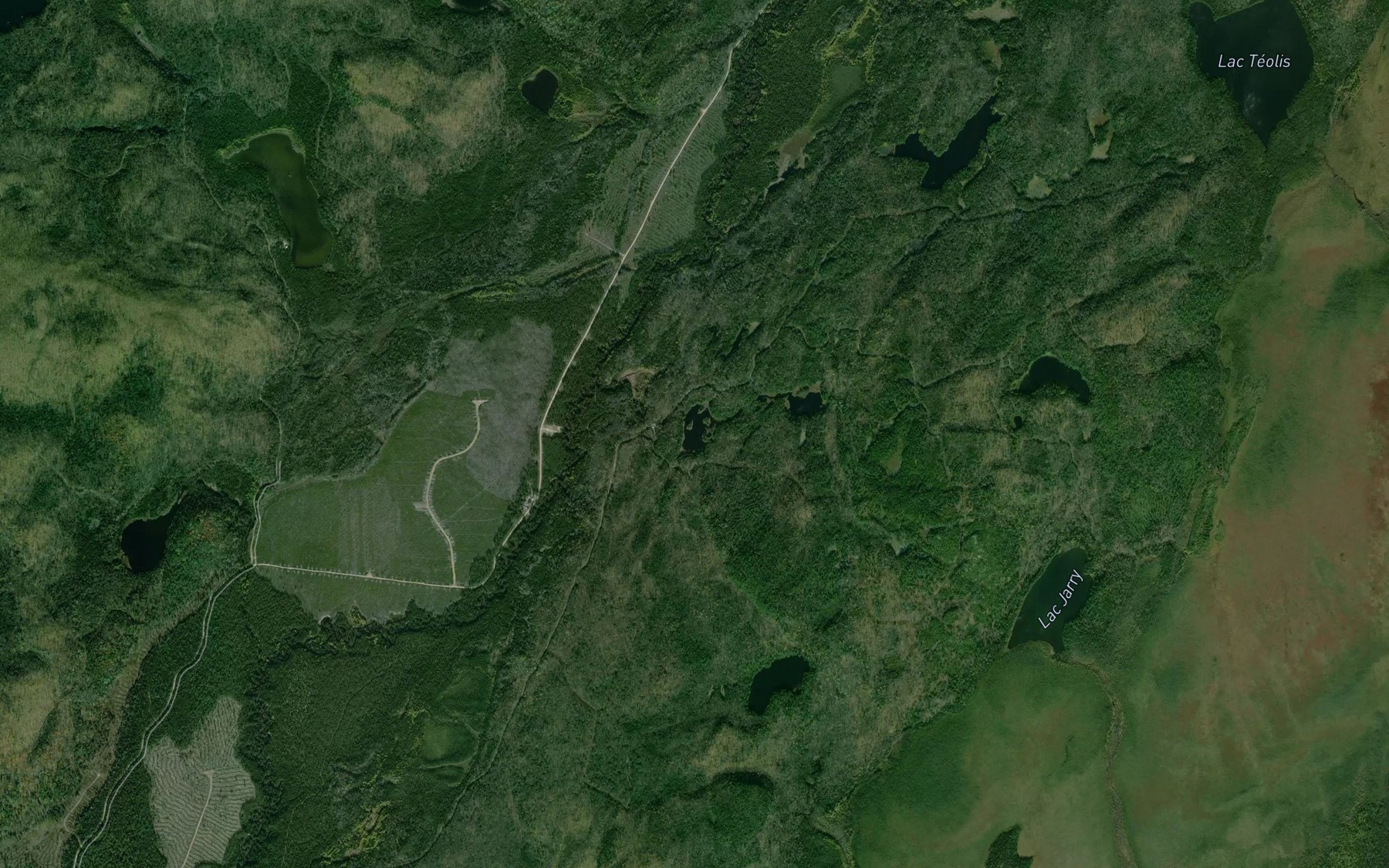 Satellite map of the Lac de la Petite