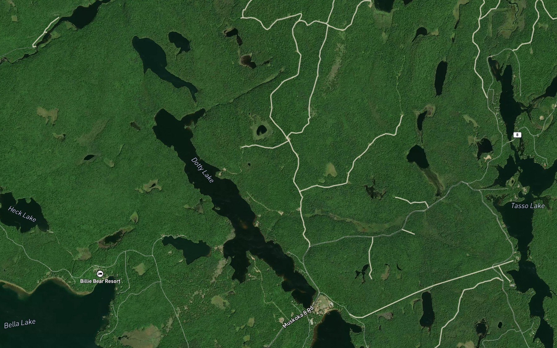 Satellite map of the South Nelson Creek