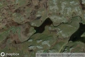 Gaskkamus Gumppeluoppal