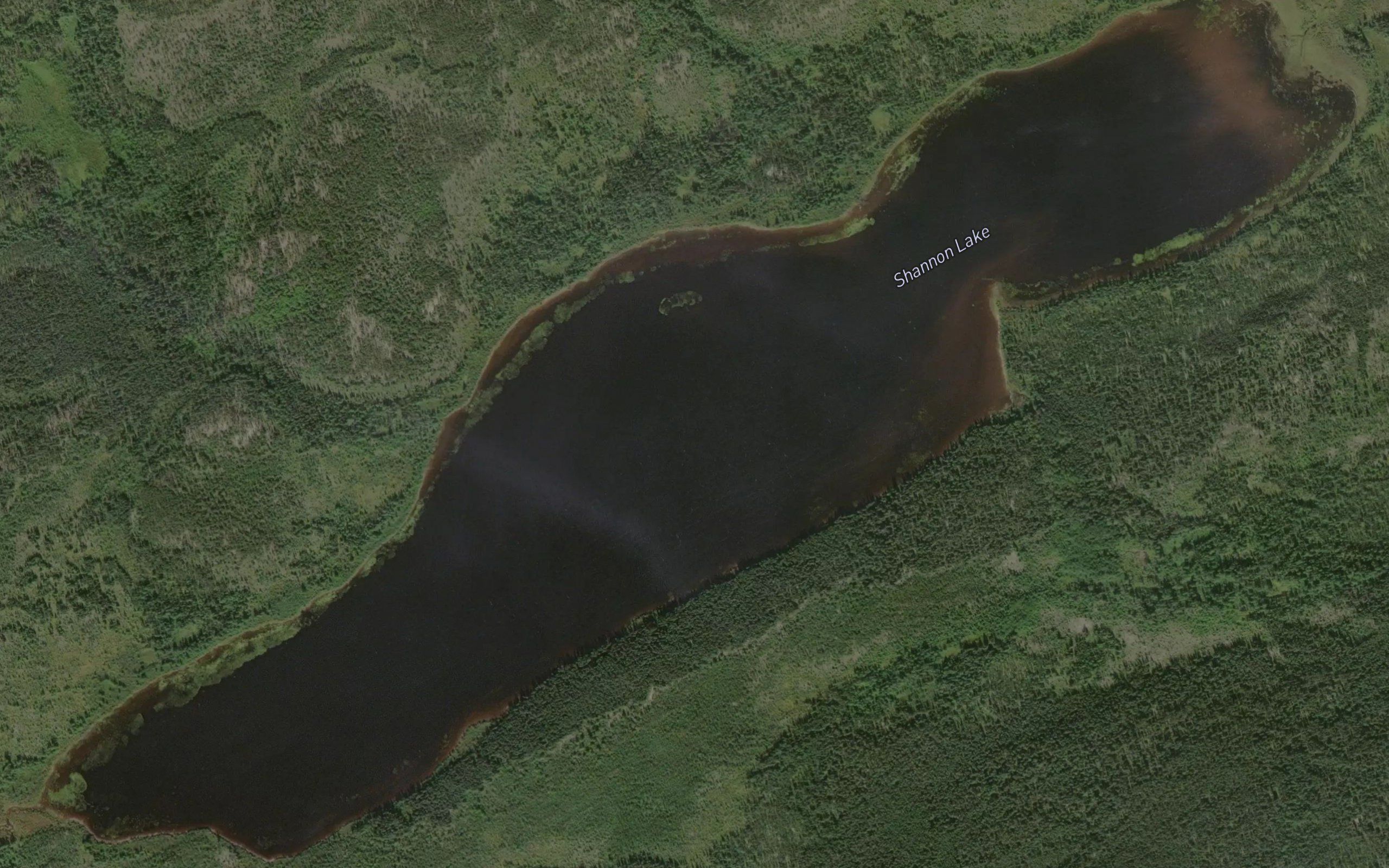 Shannon Lake