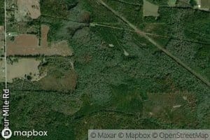 South Branch Red Creek