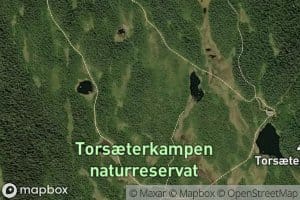 Palknappen