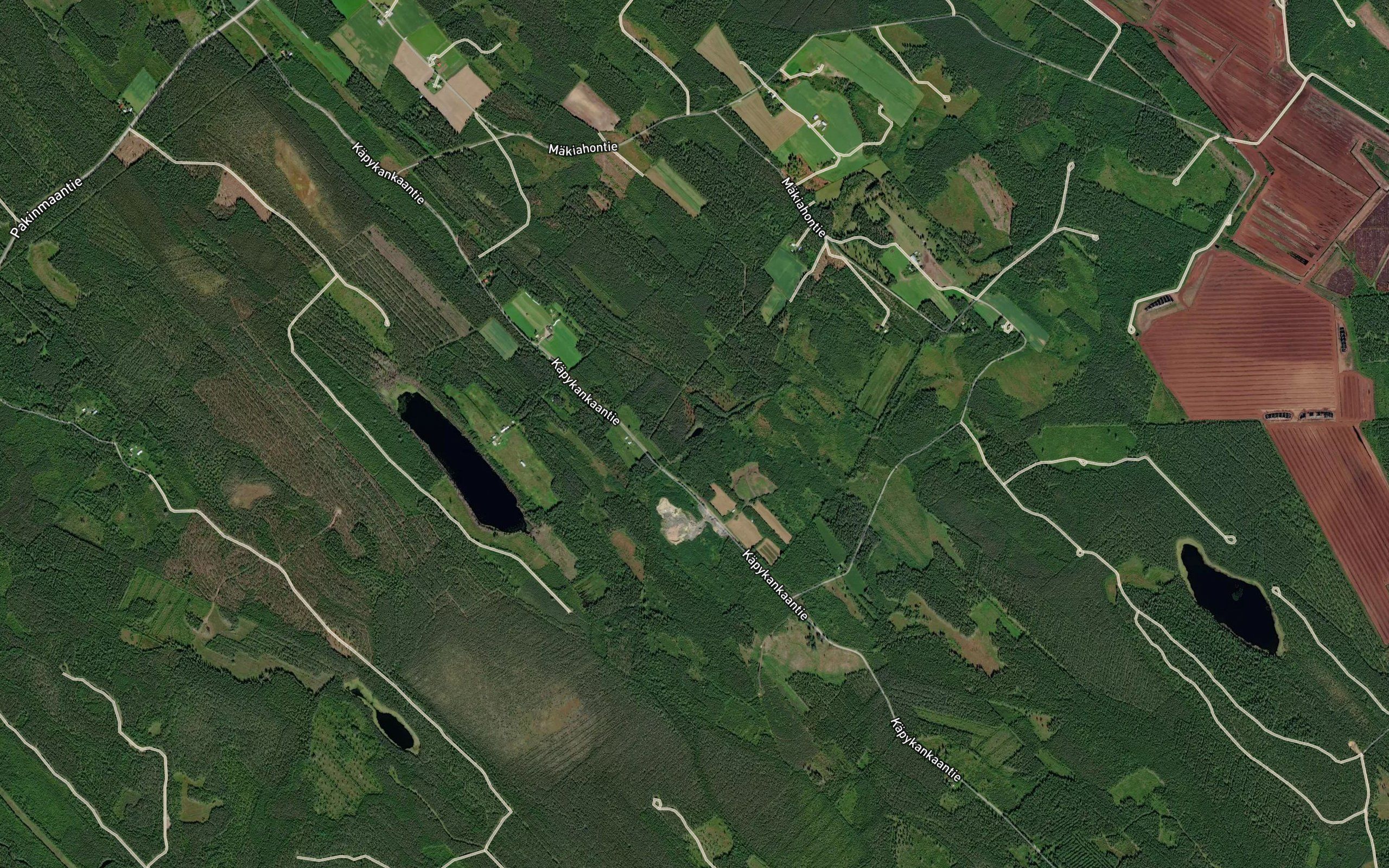 Pellavalampi
