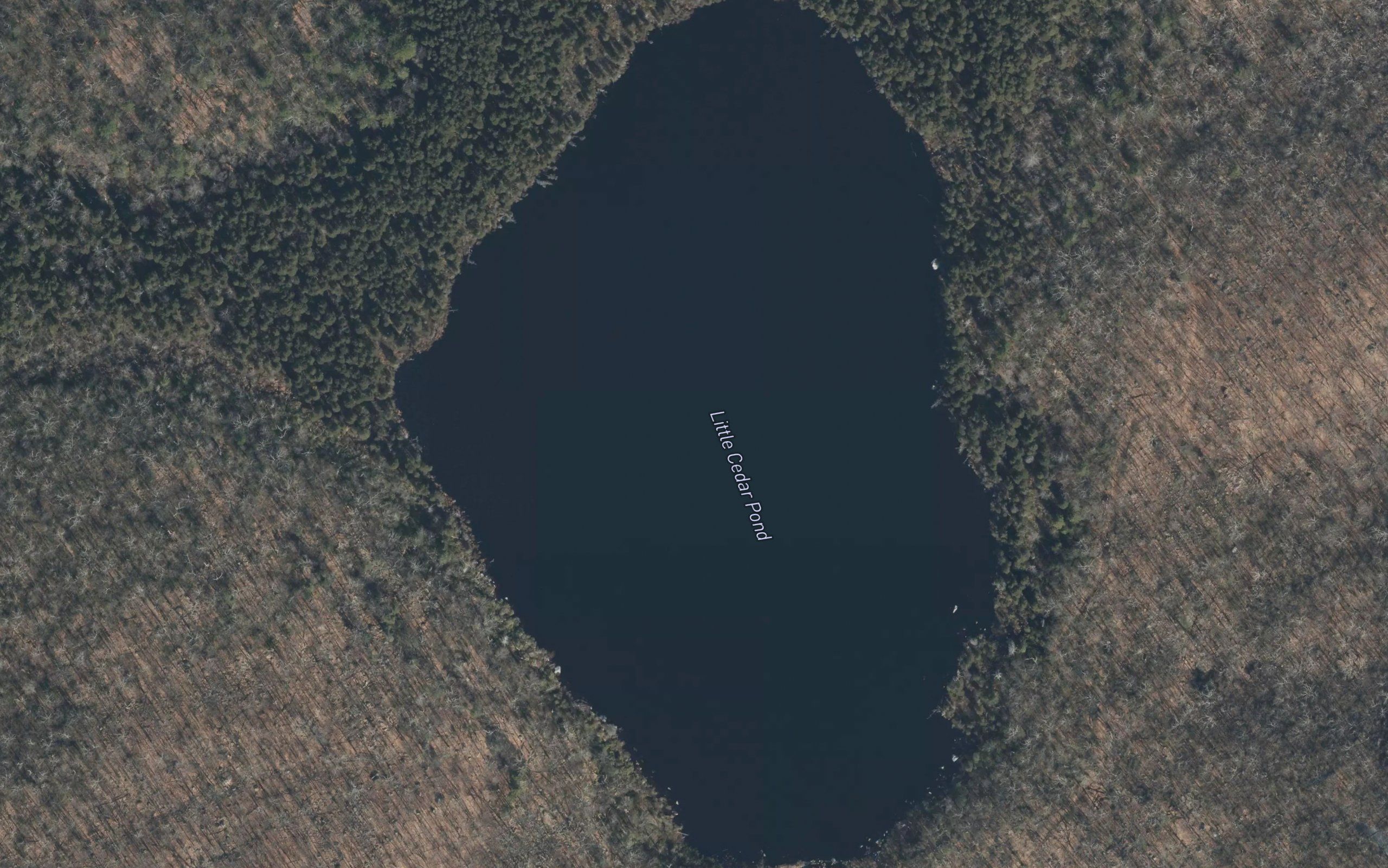 Little Cedar Pond