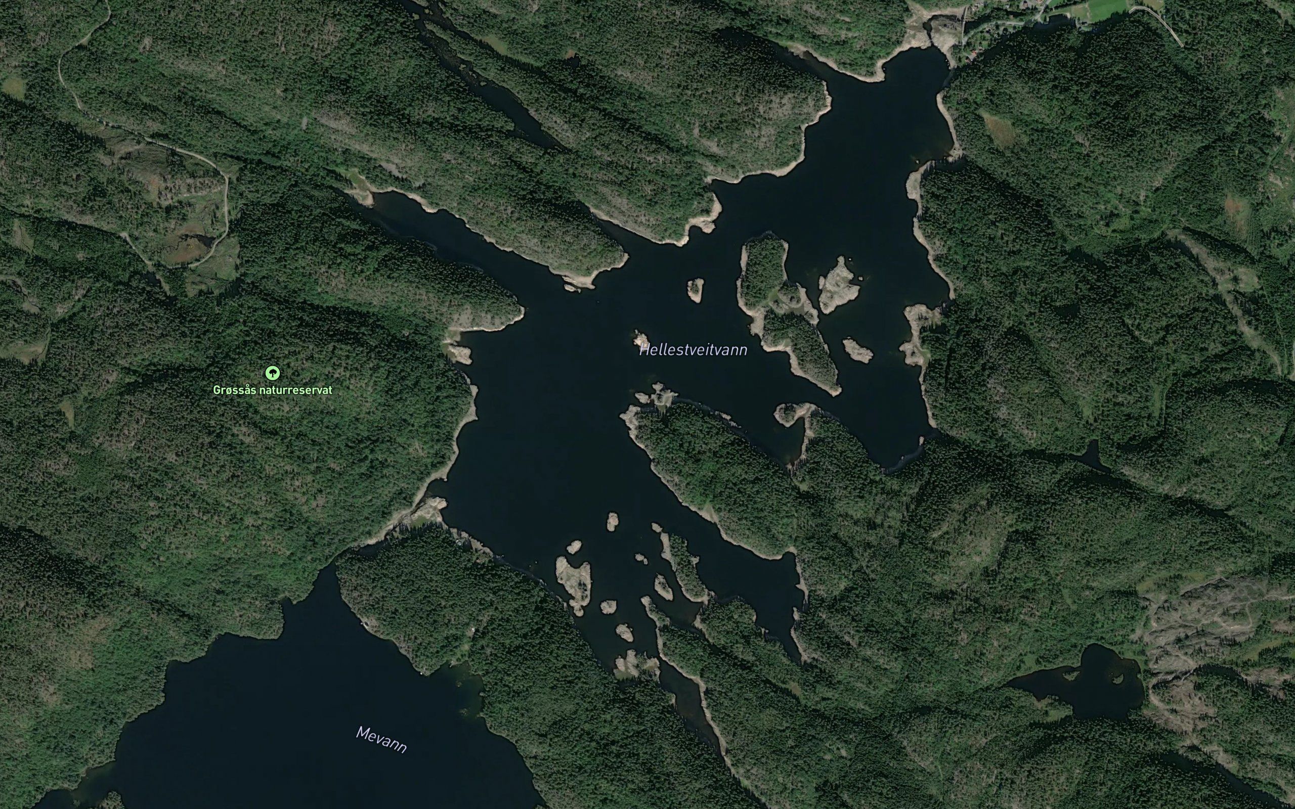 Hellestveitvann