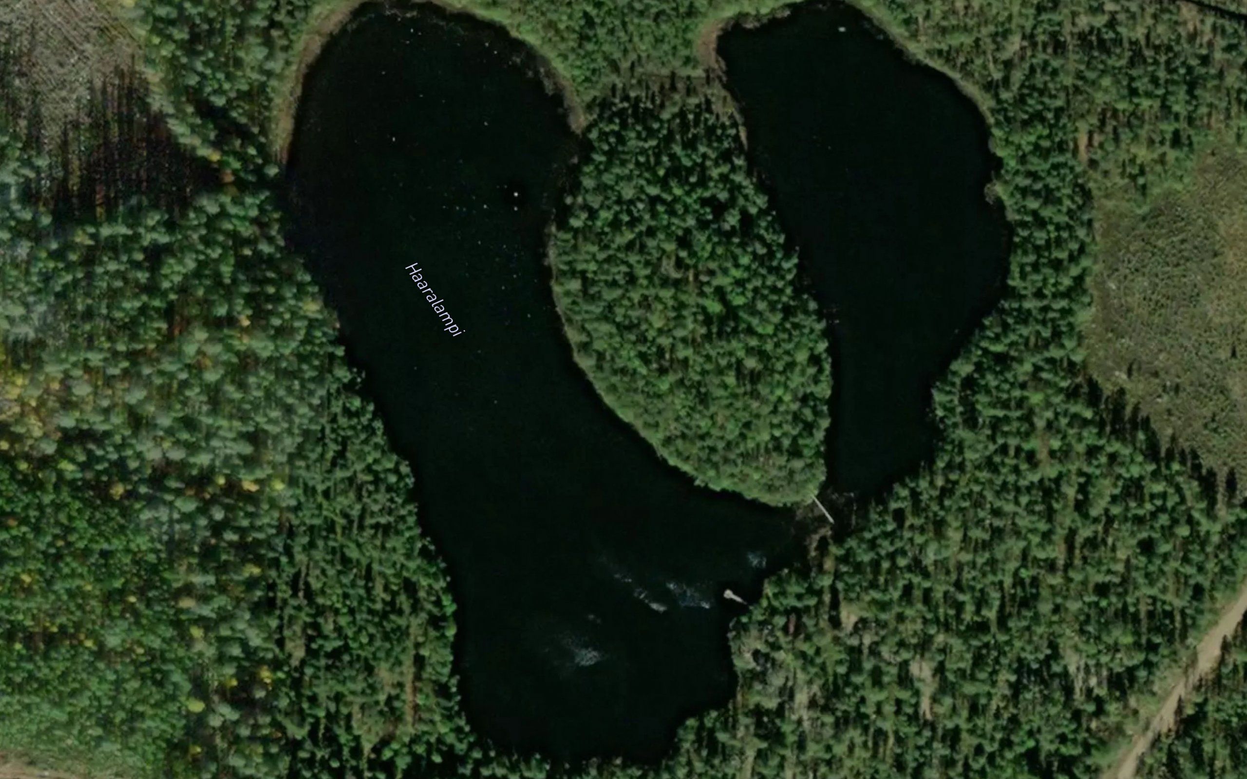 Haaralampi