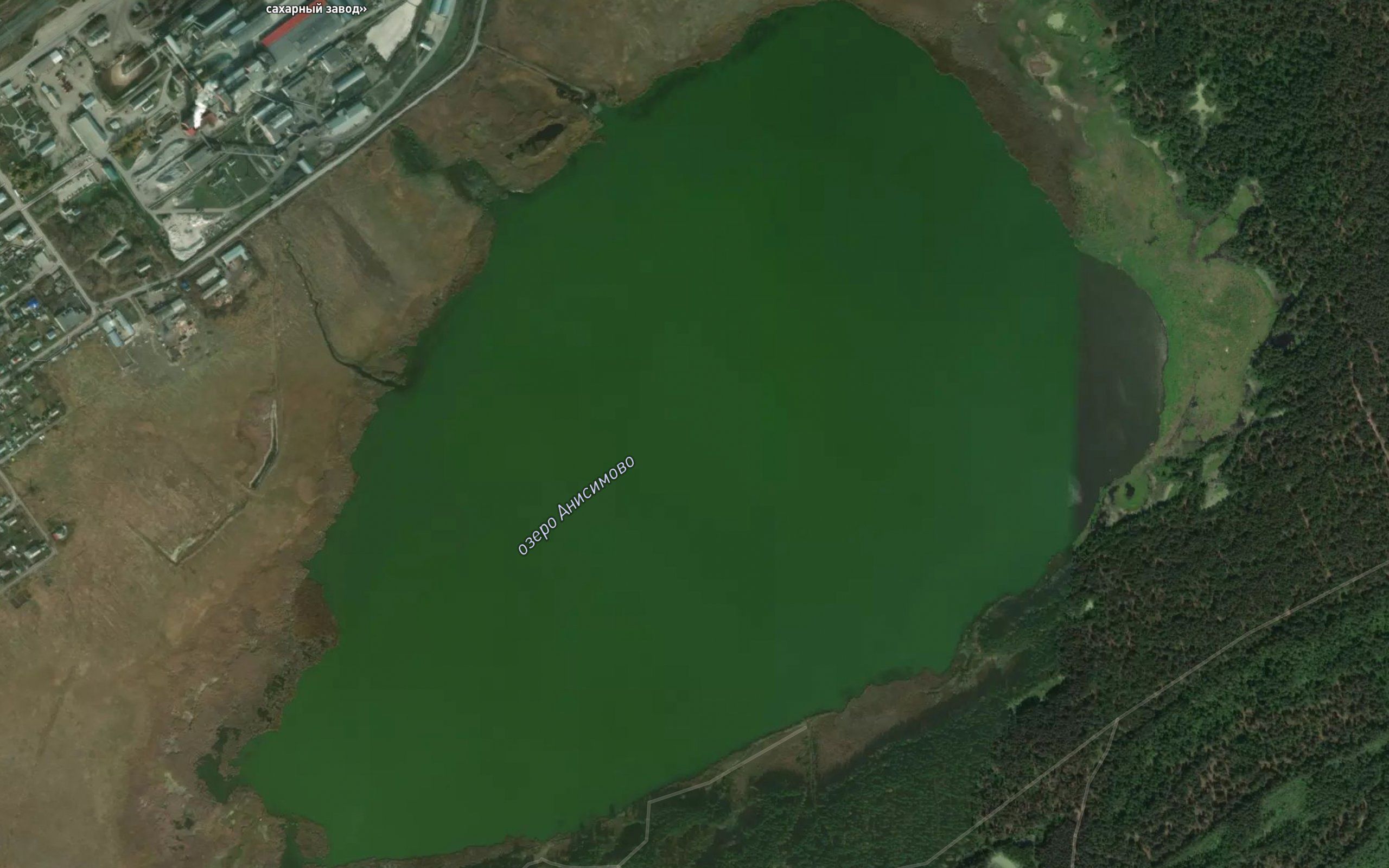 Ozero Anisimovo