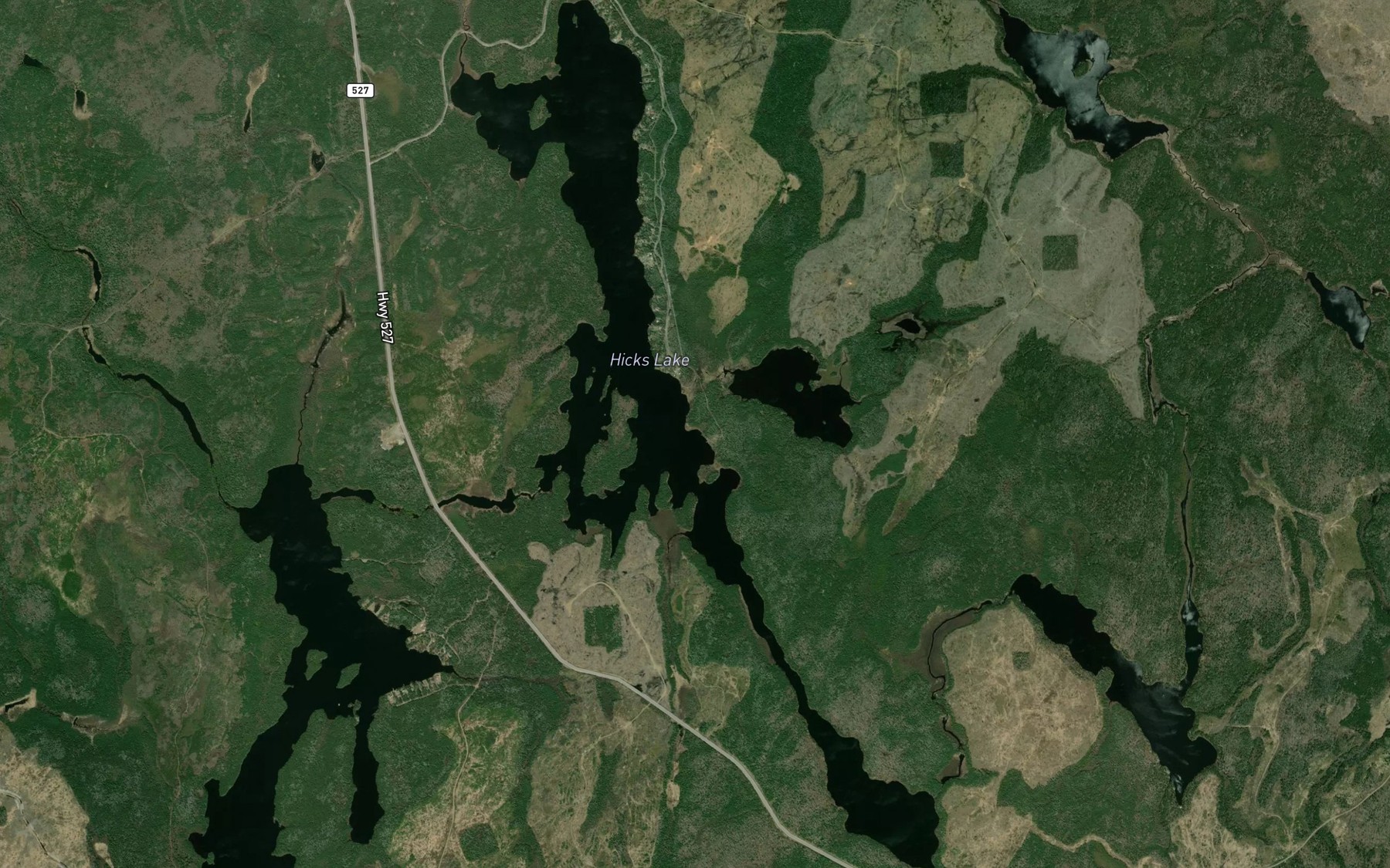 Satellite map of the Hicks Lake