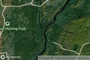 Little West Branch Whitefish River