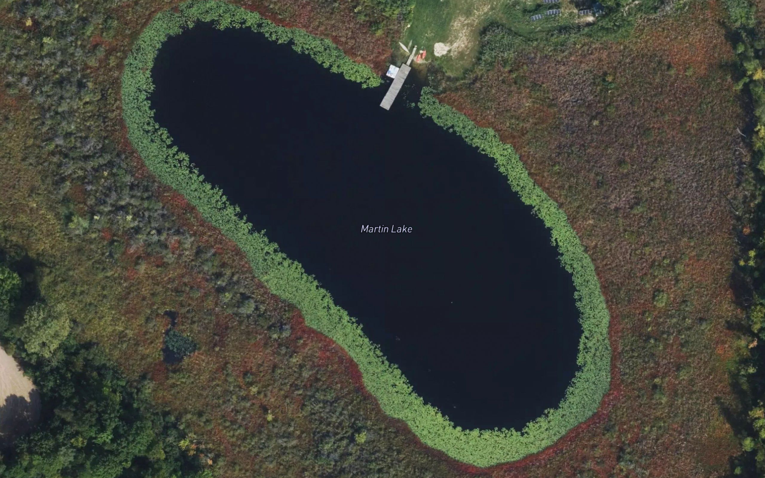 Martin Lake