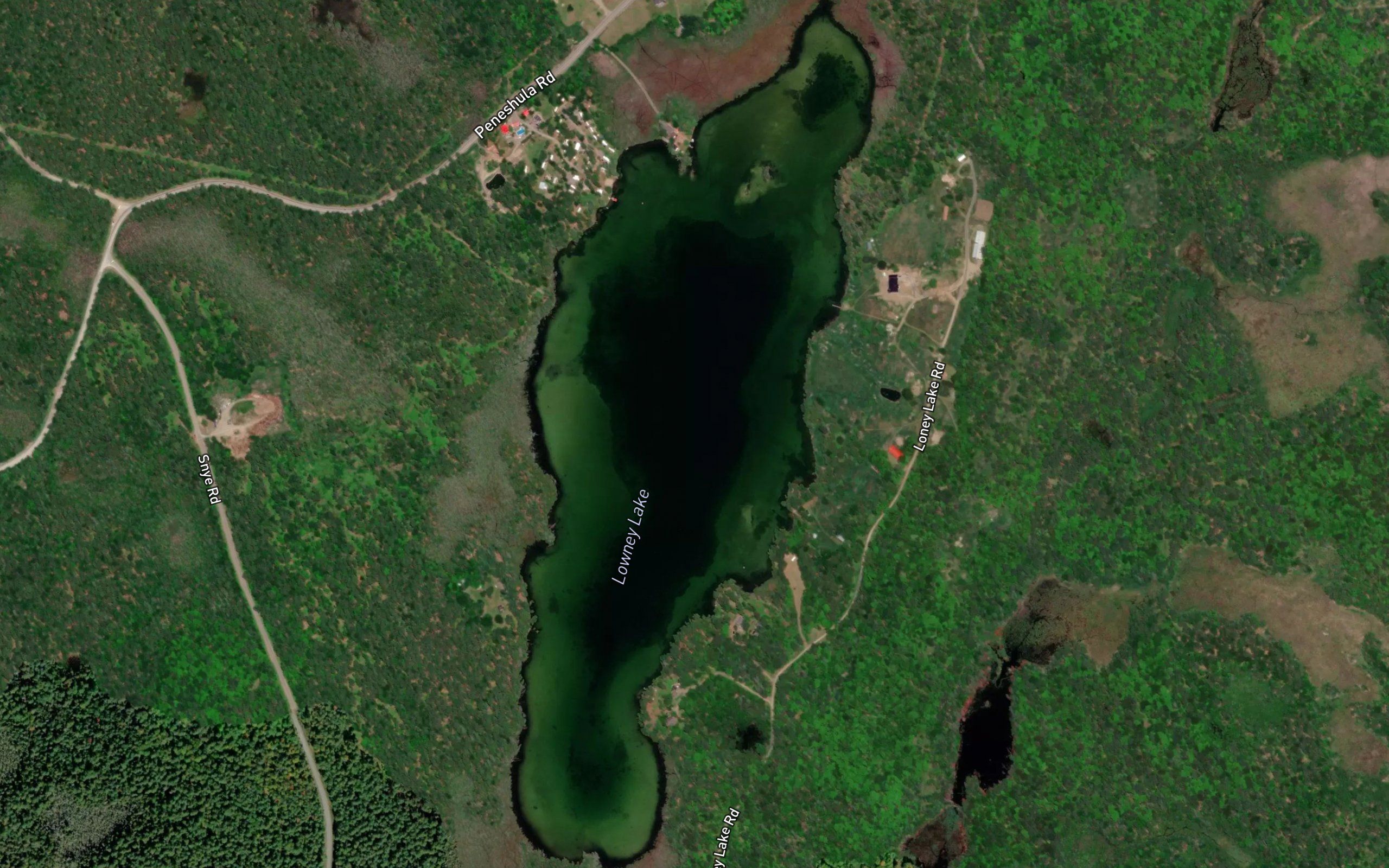 Lowney Lake