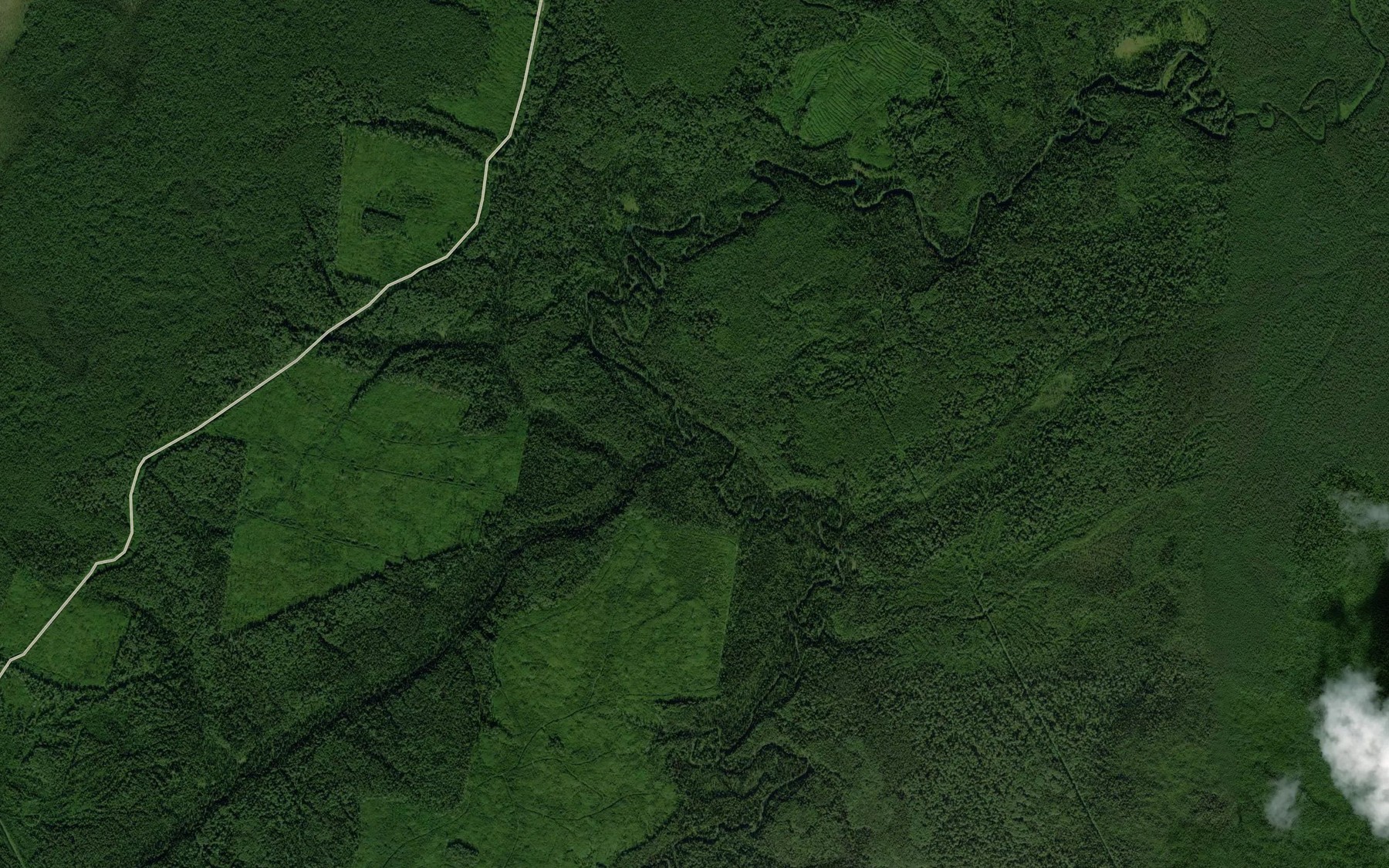 Satellite map of the Vizinga