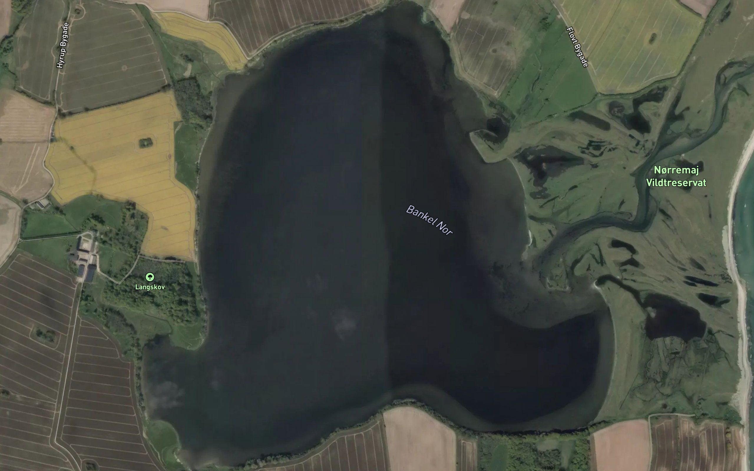 Bankel