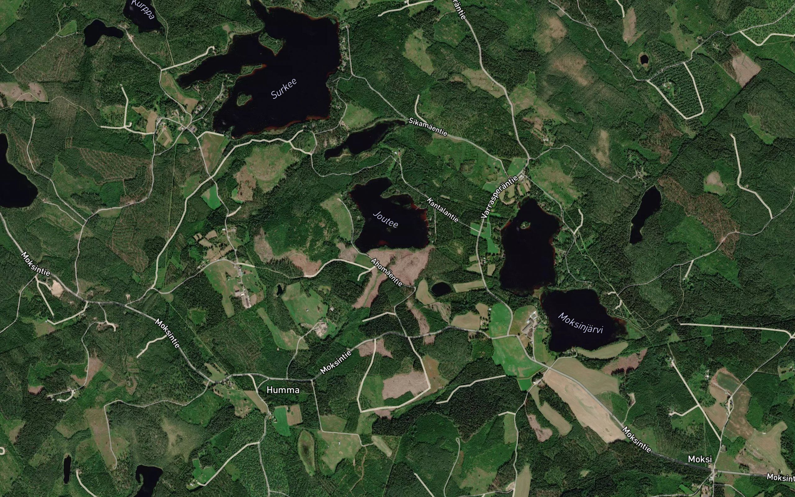 Paksuoja