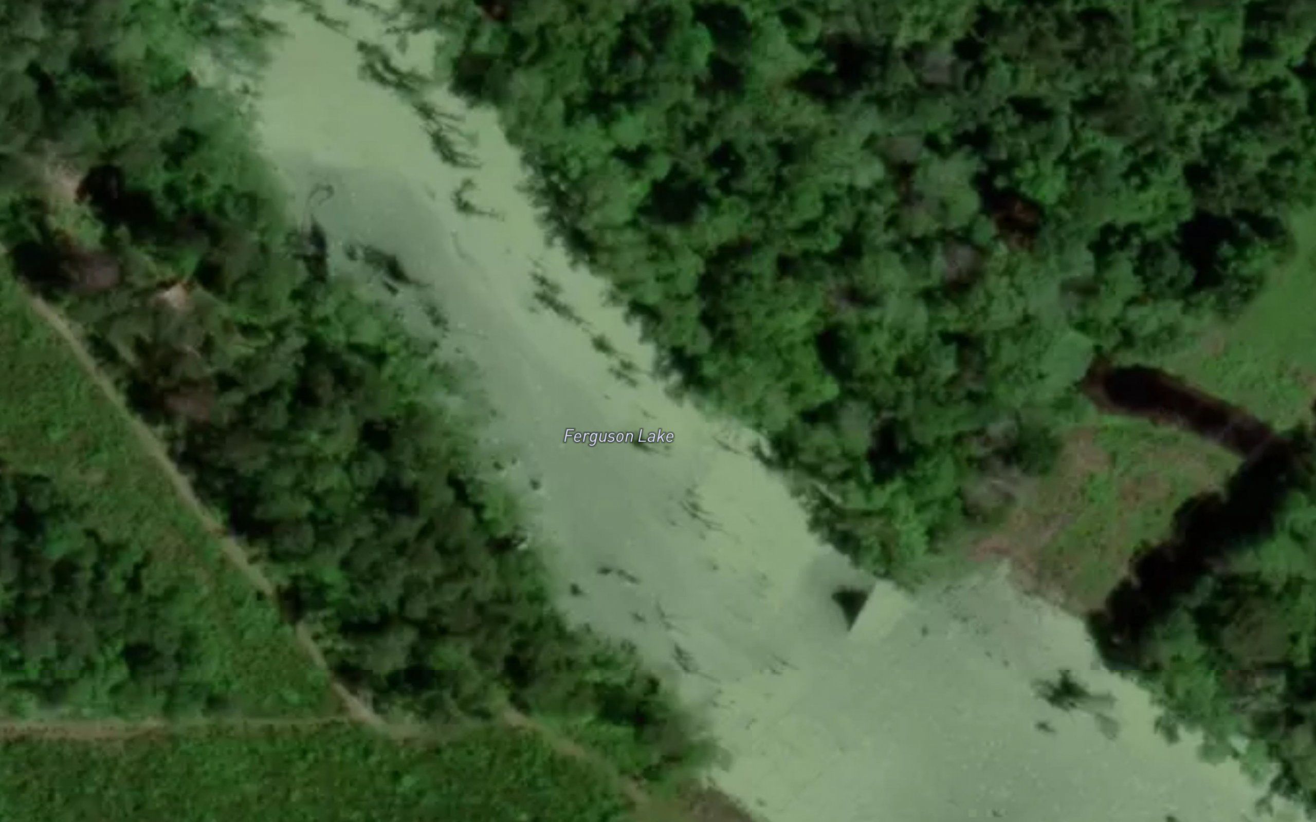 Ferguson Lake