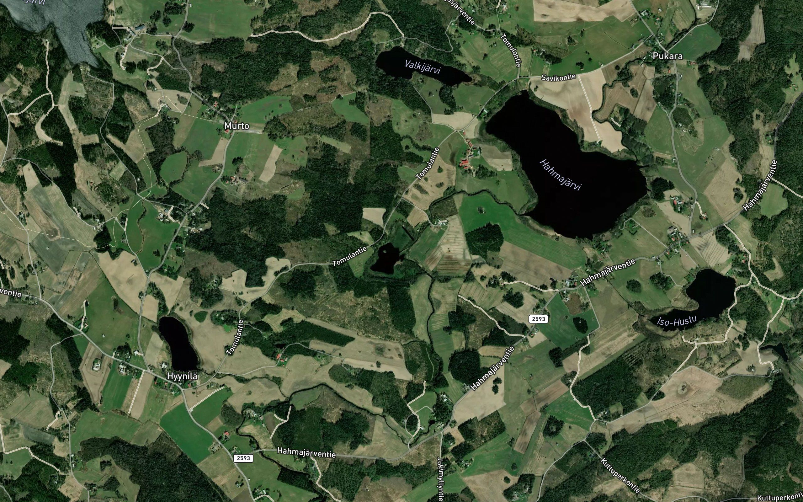 Tomulanjoki