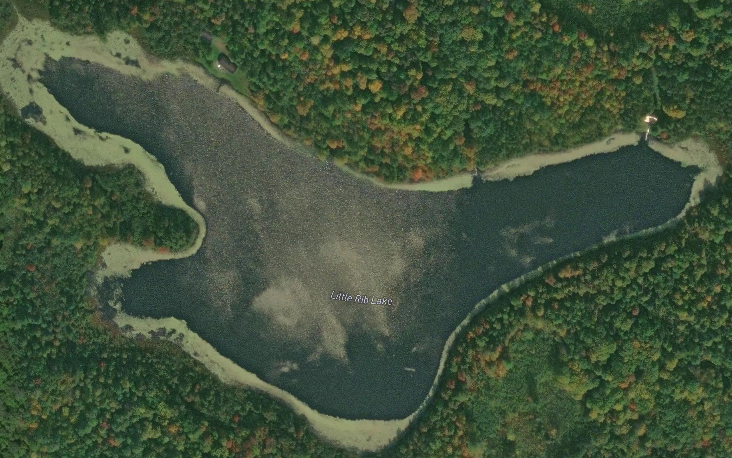 Little Rib Lake