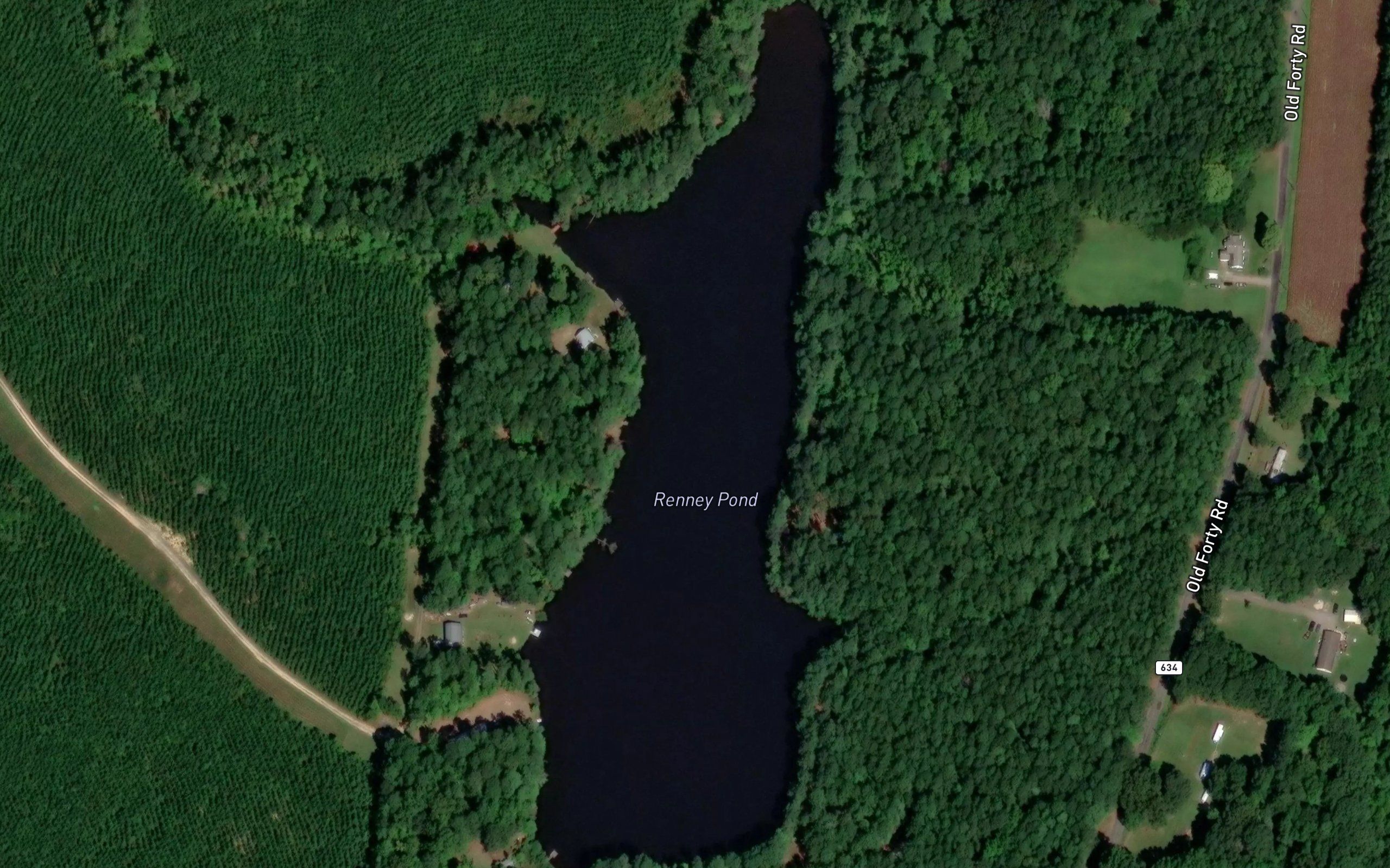 Renney Pond