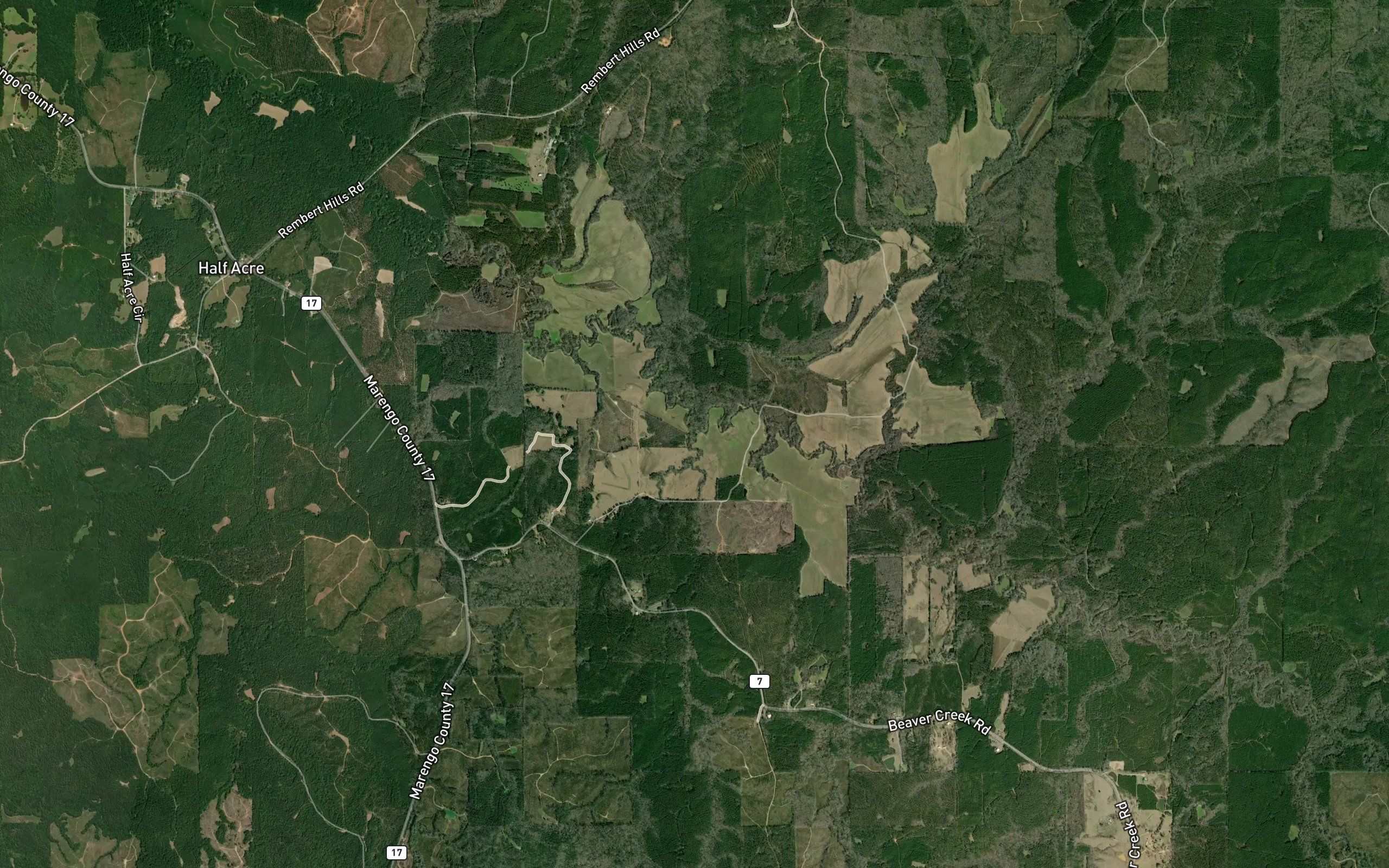 Beecomb Branch