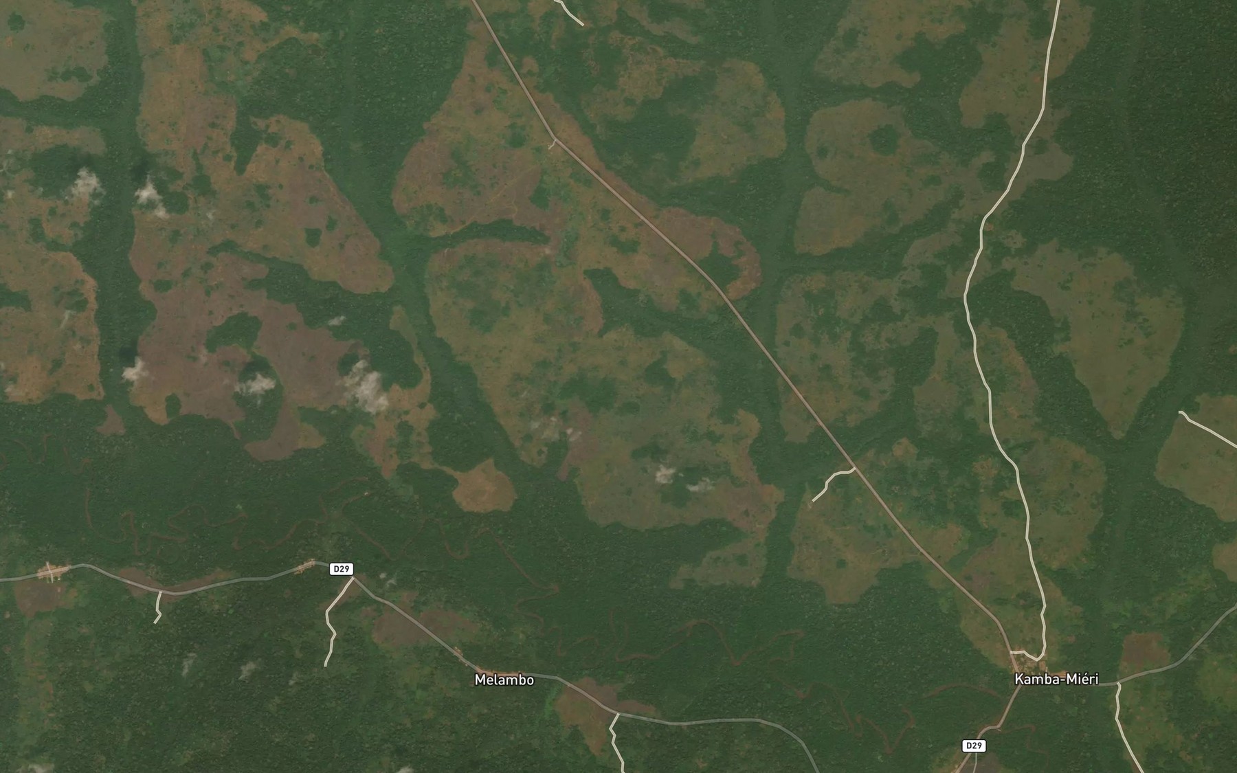 Satellite map of the Bambo