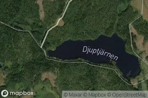 Djuptjarn