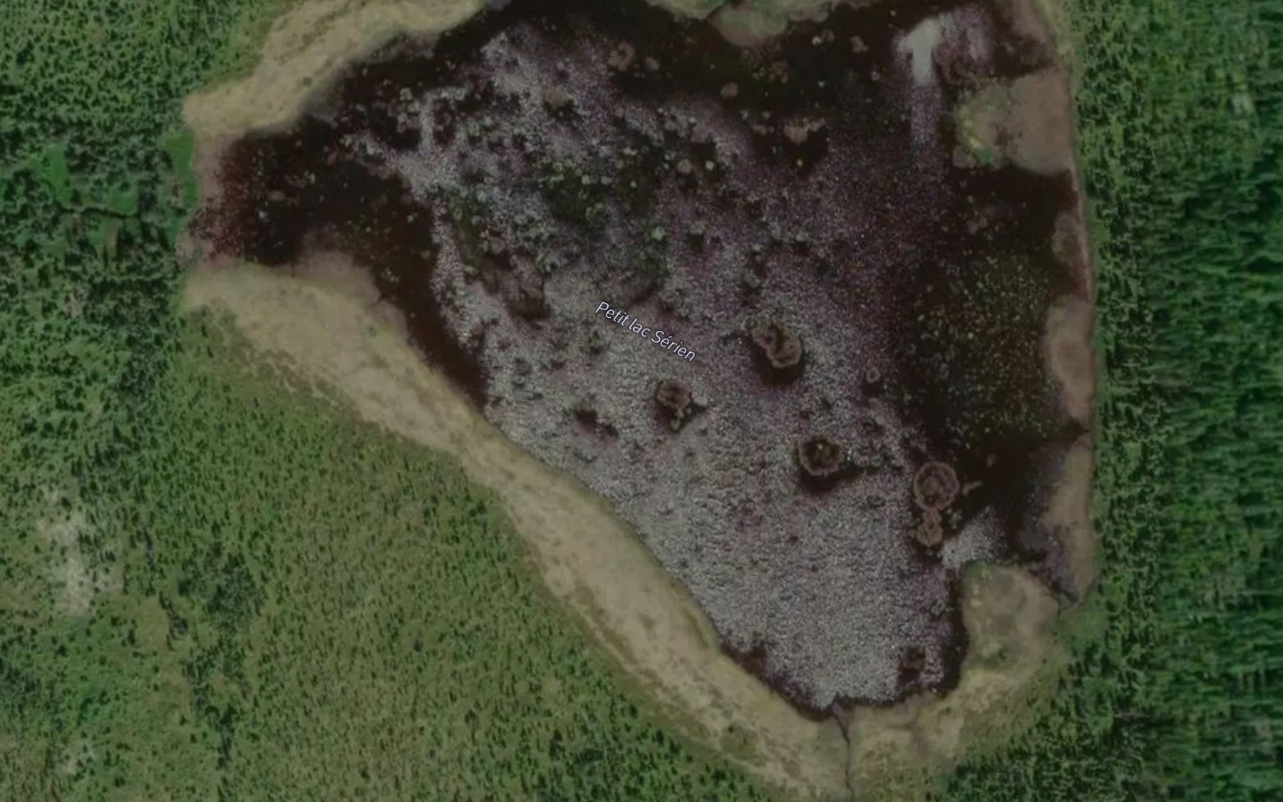 Satellite map of the Petit lac Serien
