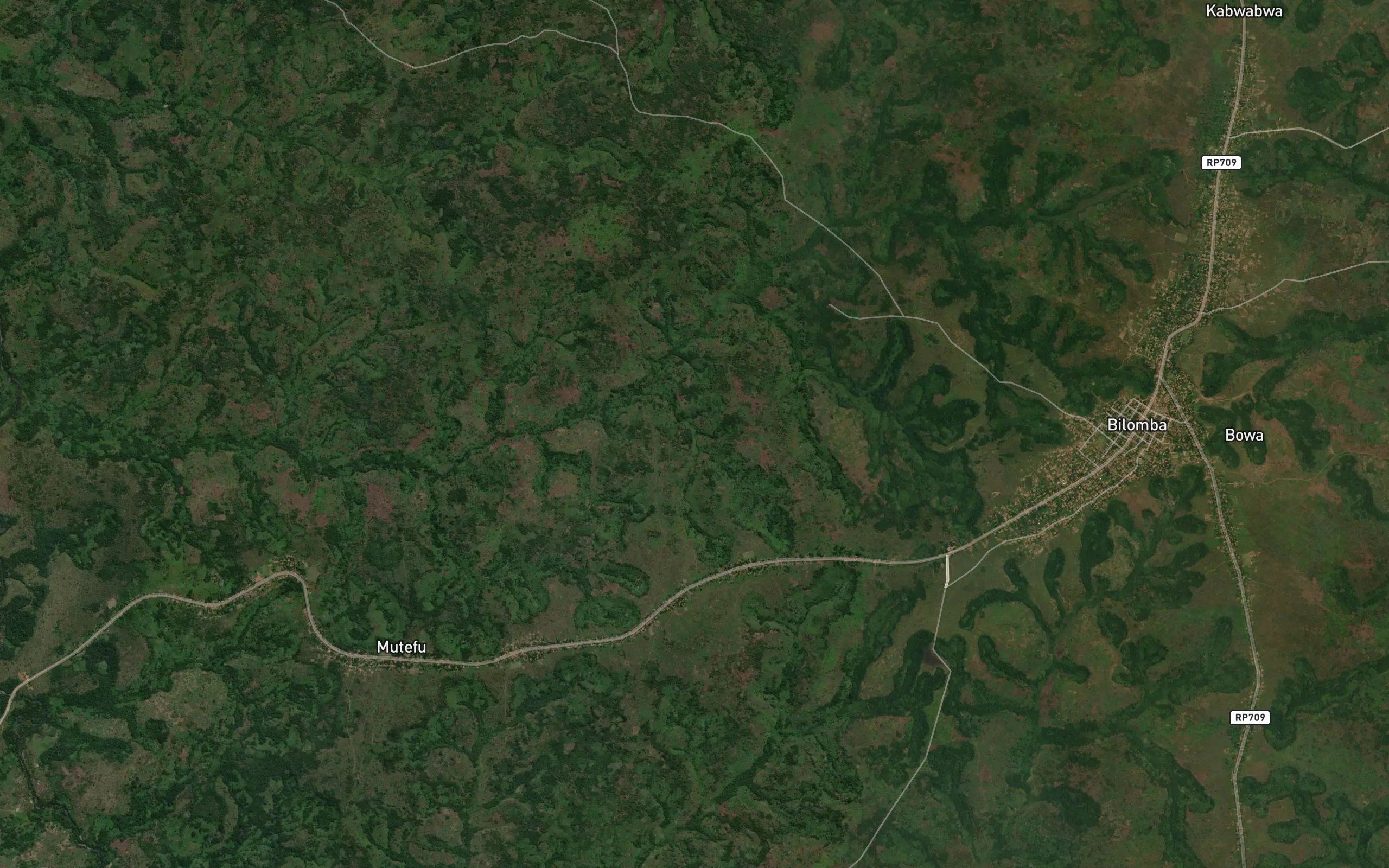 Kapenena