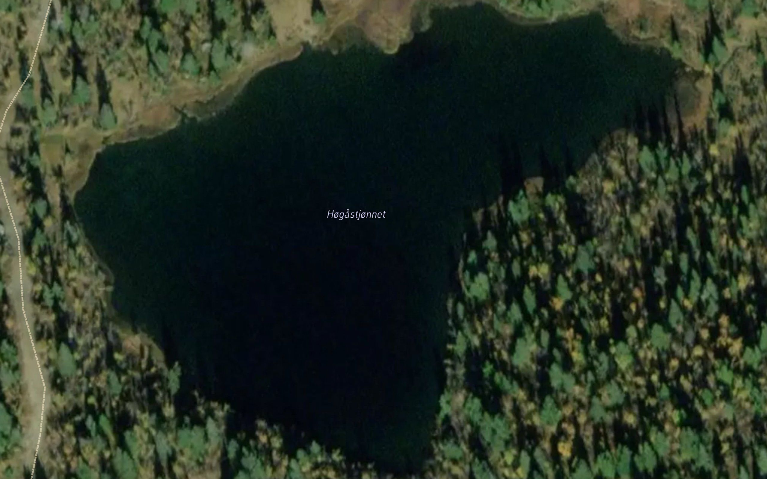 Hogastjonnet