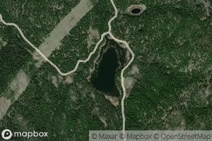 Bog Lake