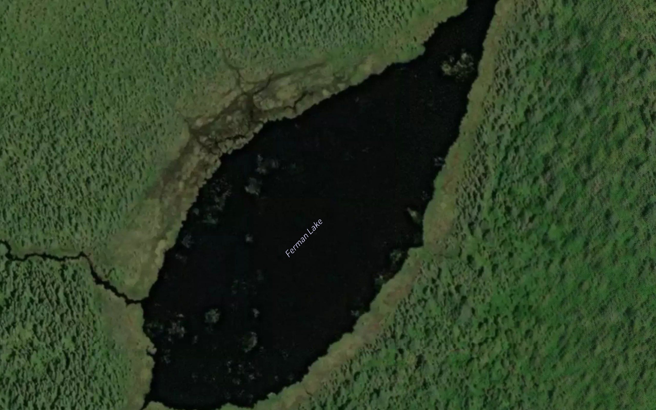 Ferman Lake