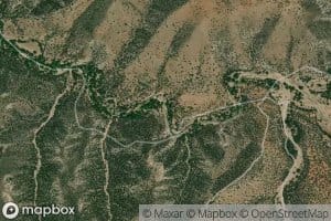 Dorsey Spring
