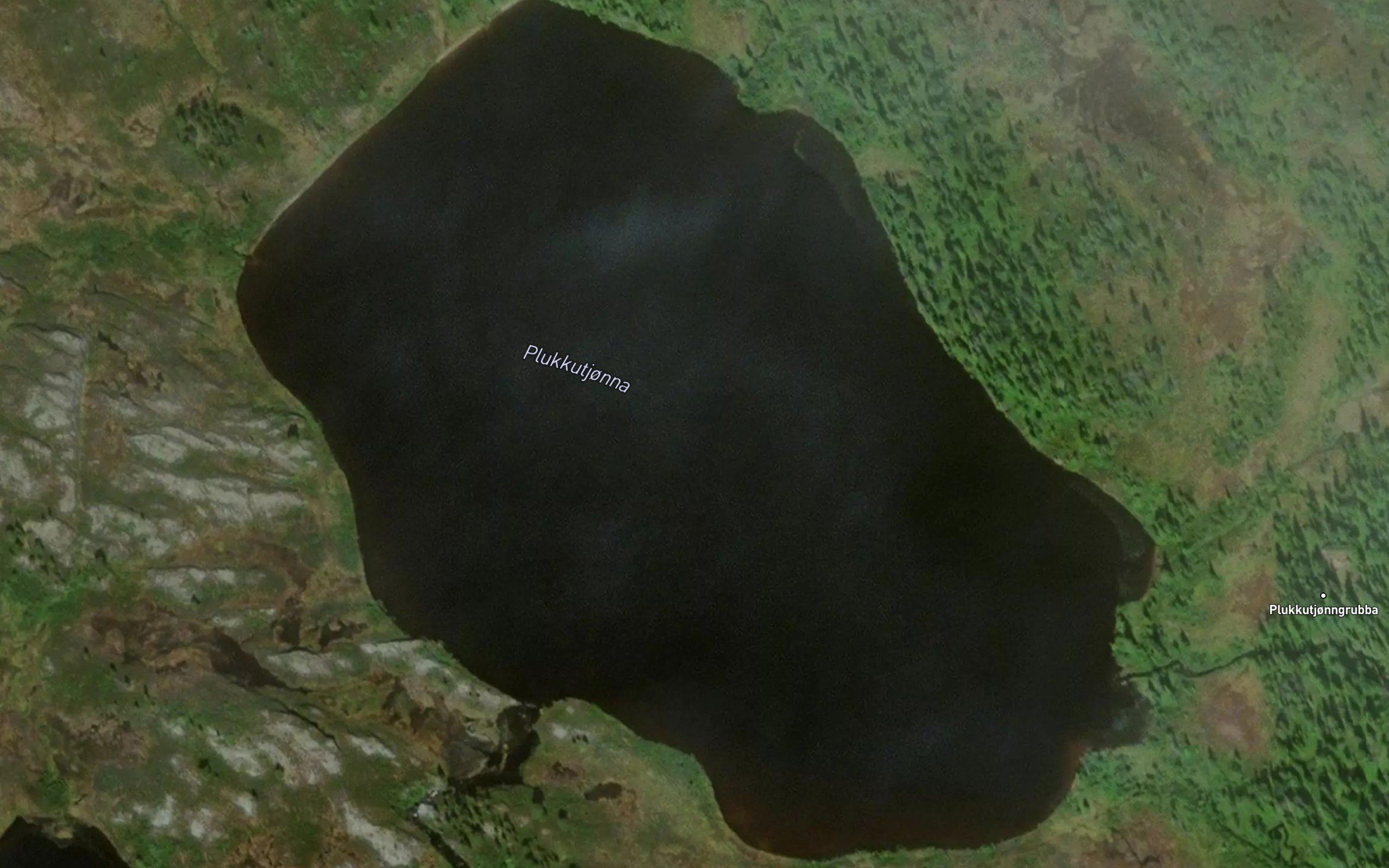Plukkuttjorna