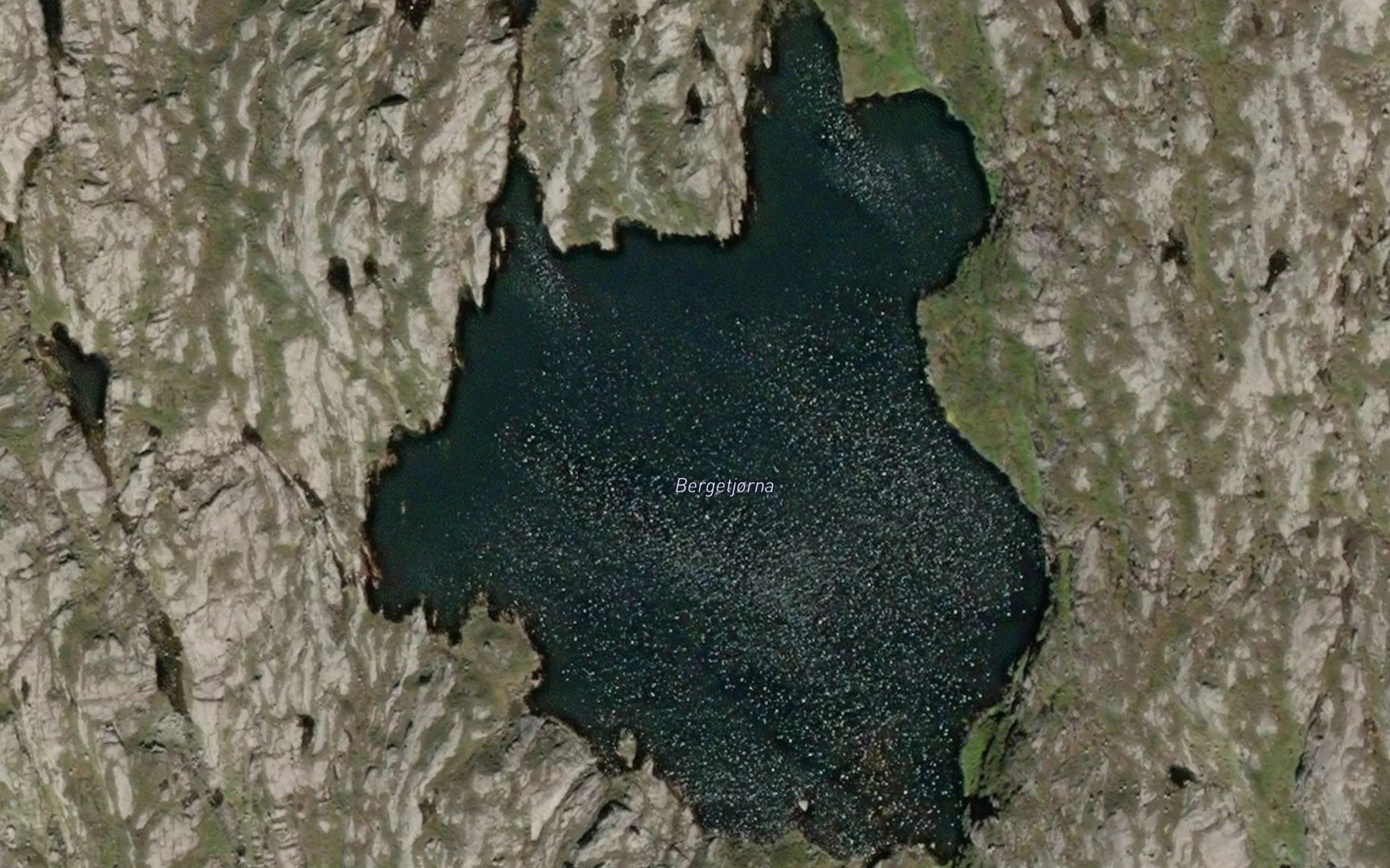 Bergetjorna