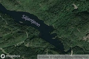 Siljantjenn