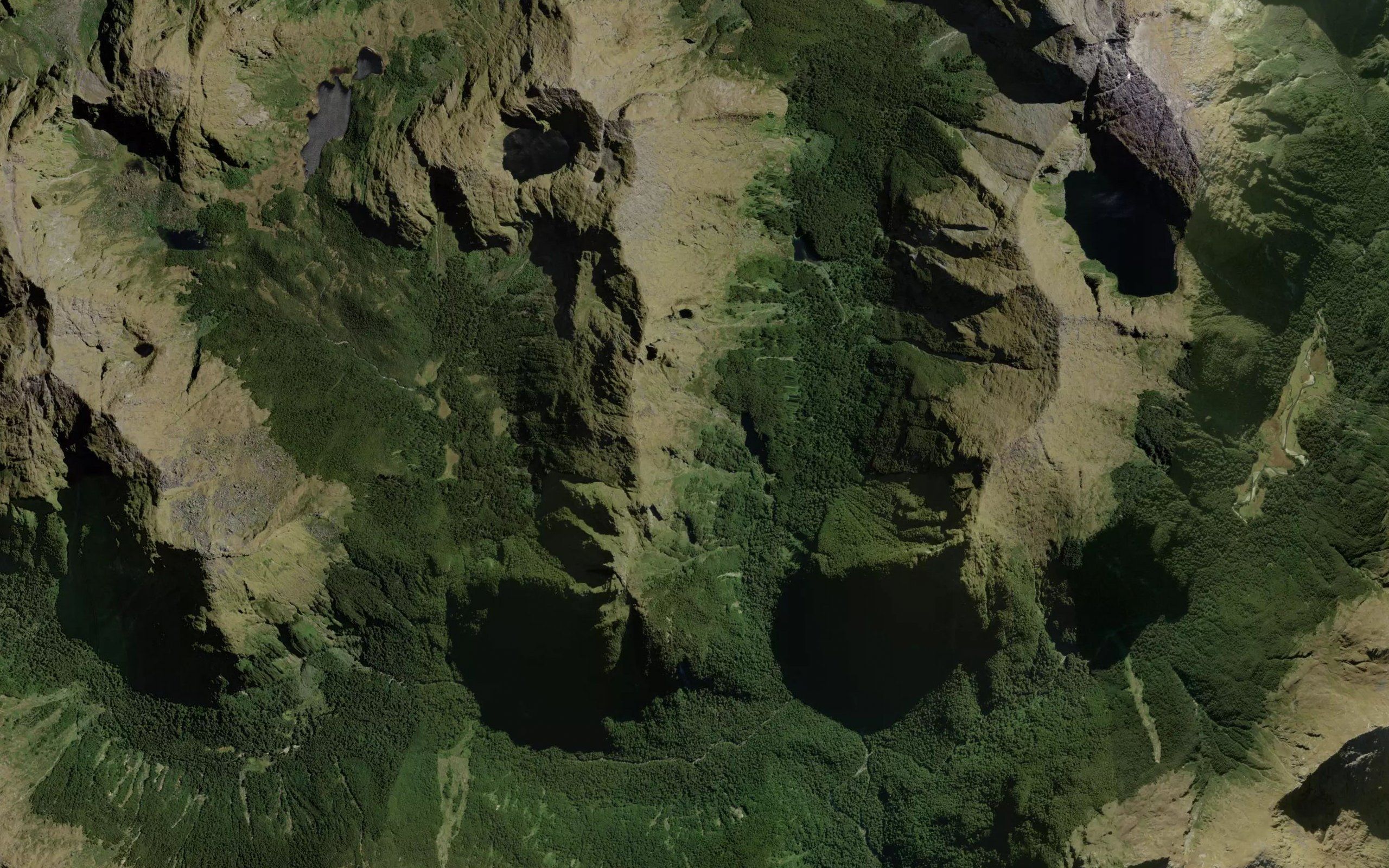 Kakapo Creek