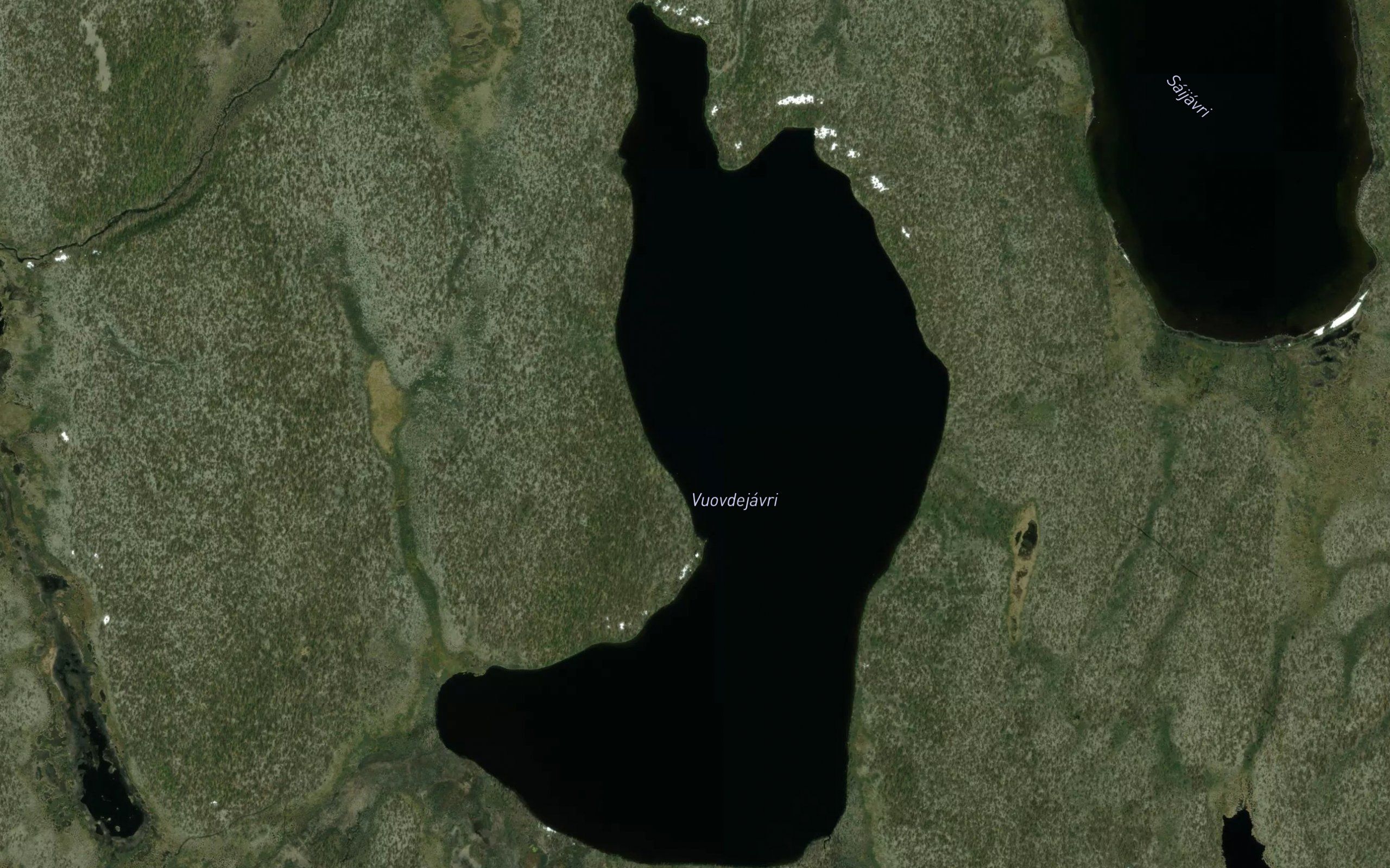 Vuovdejavri