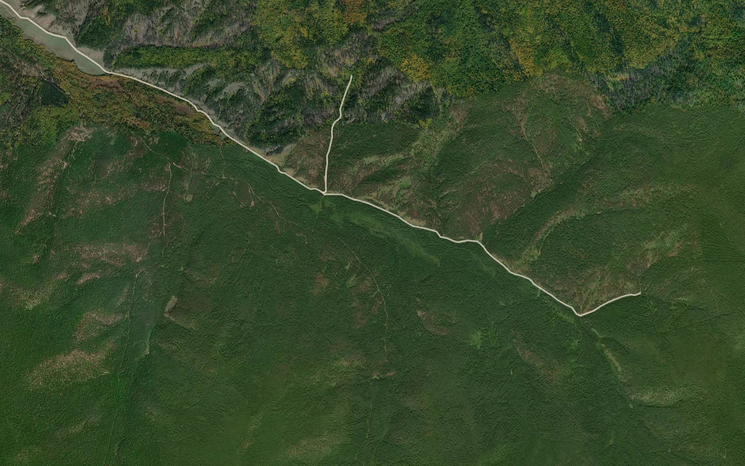 Ledyanka