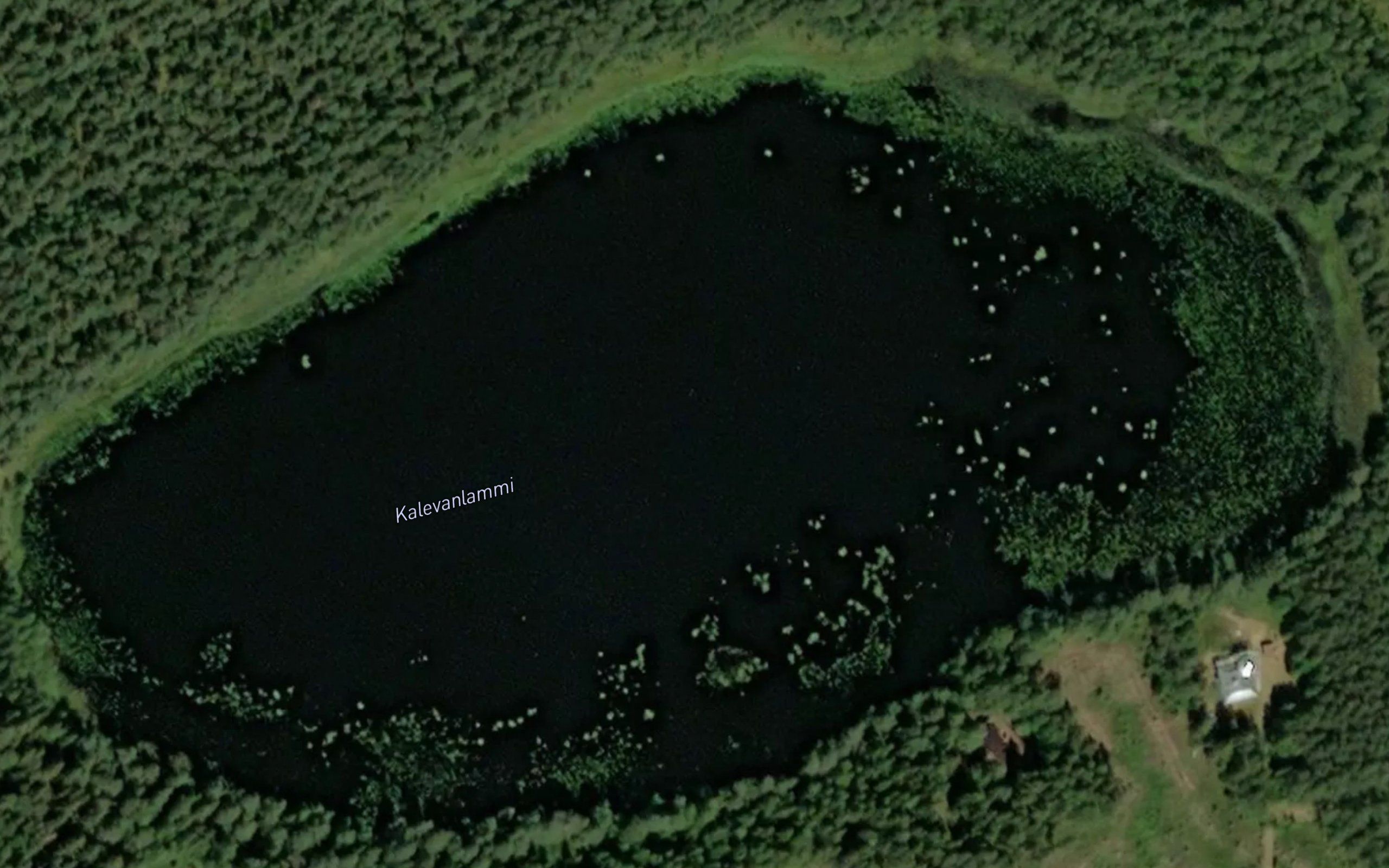 Kalevanlammi