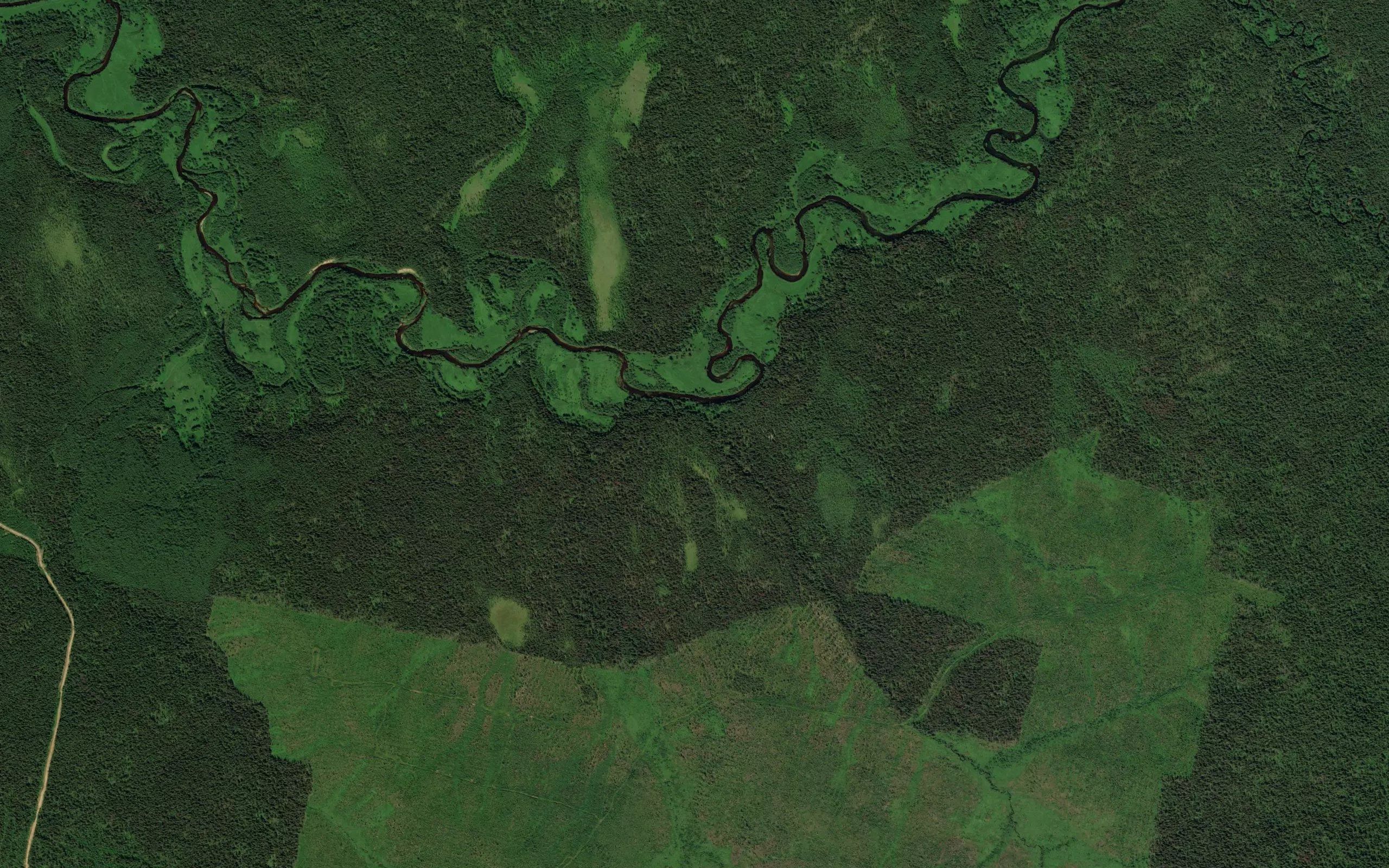 Usyuriy