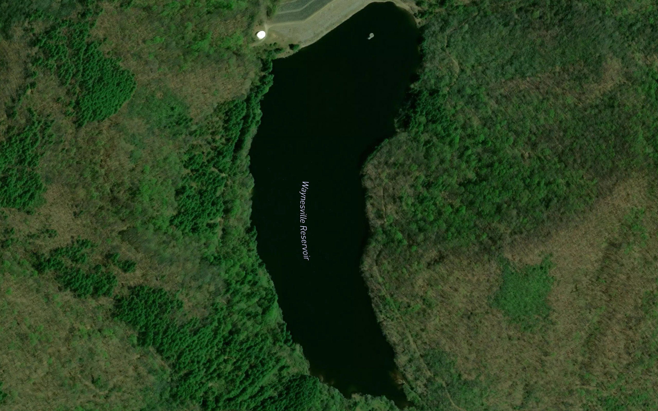 Bearpen Branch