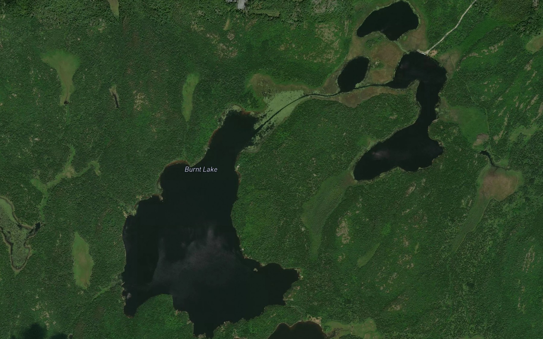 Satellite map of the Burnt Lake