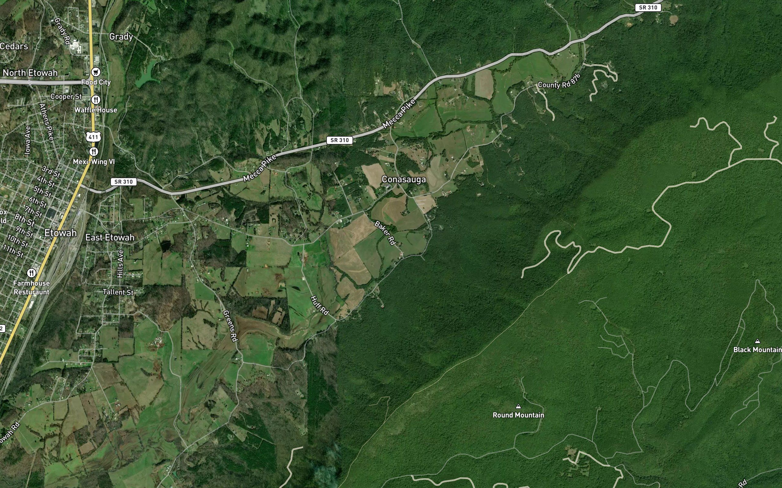 Gentry Spring