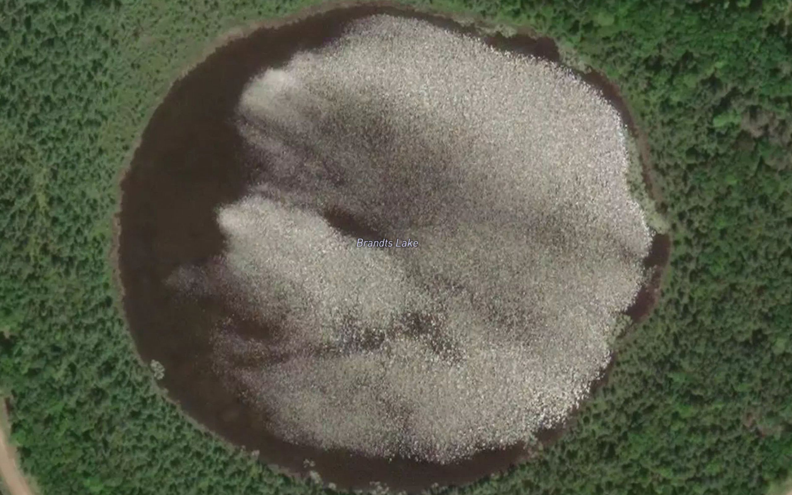 Brandts Lake