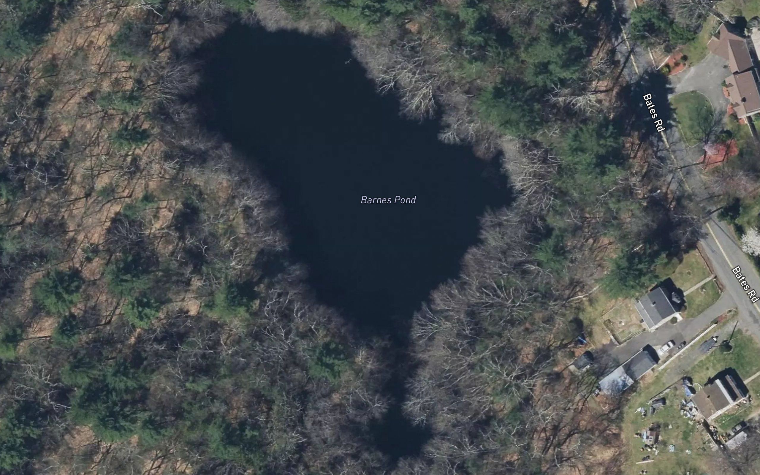 Barnes Pond