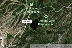 Anthony Lake