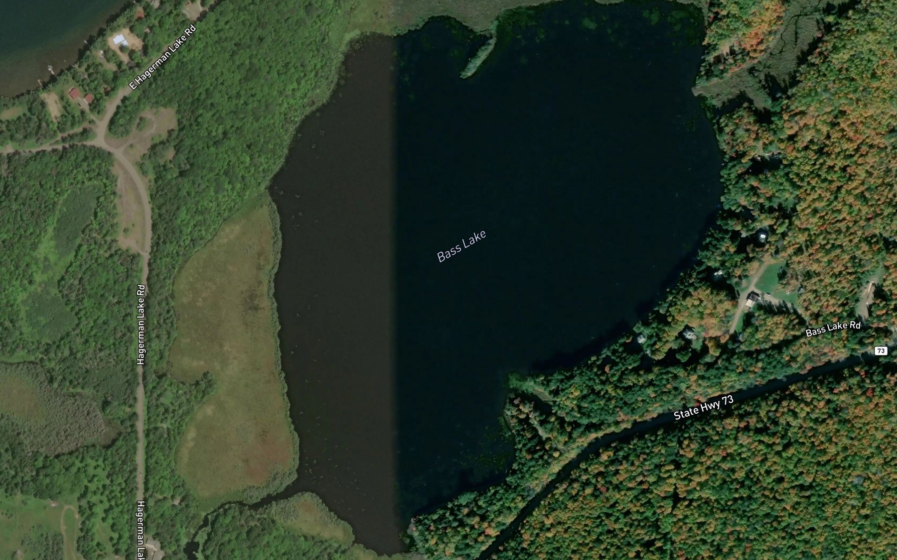 Satellite map of the Bass Lake