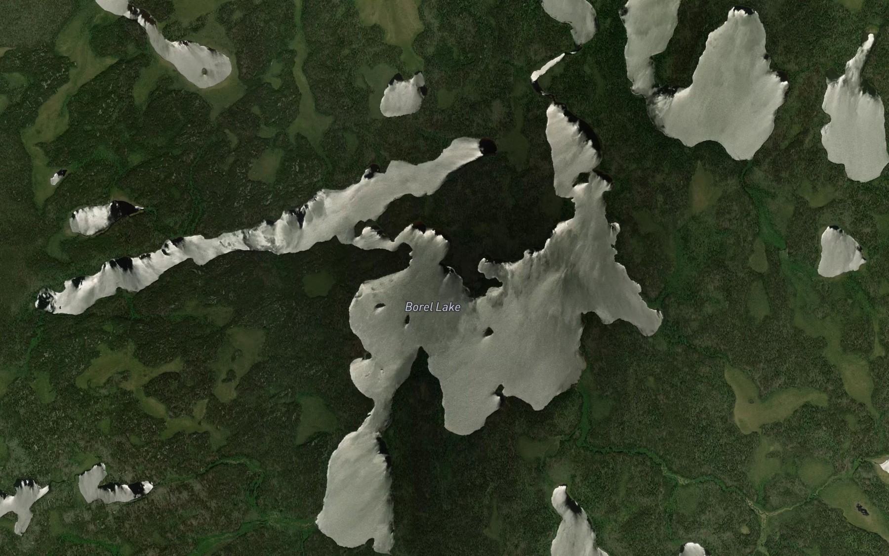 Satellite map of the Borel Lake