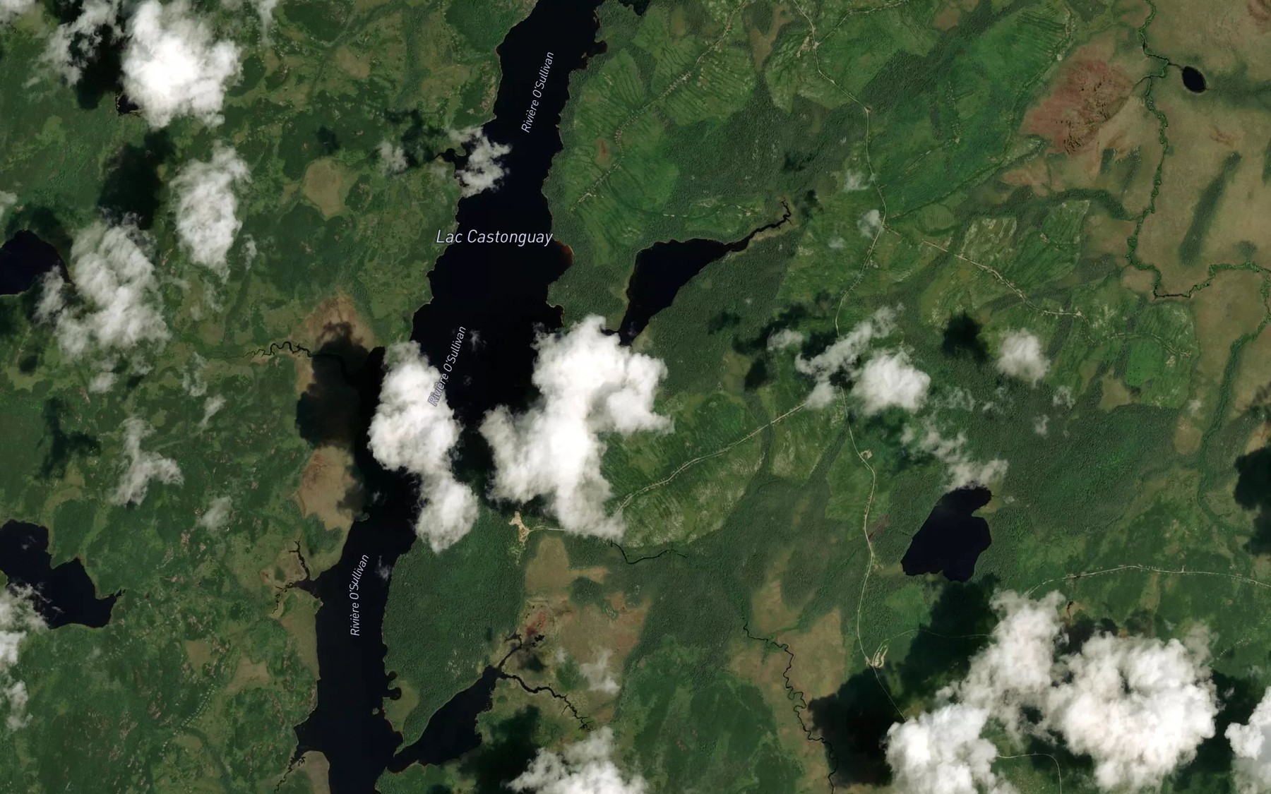 Satellite map of the Crique Brook Trout