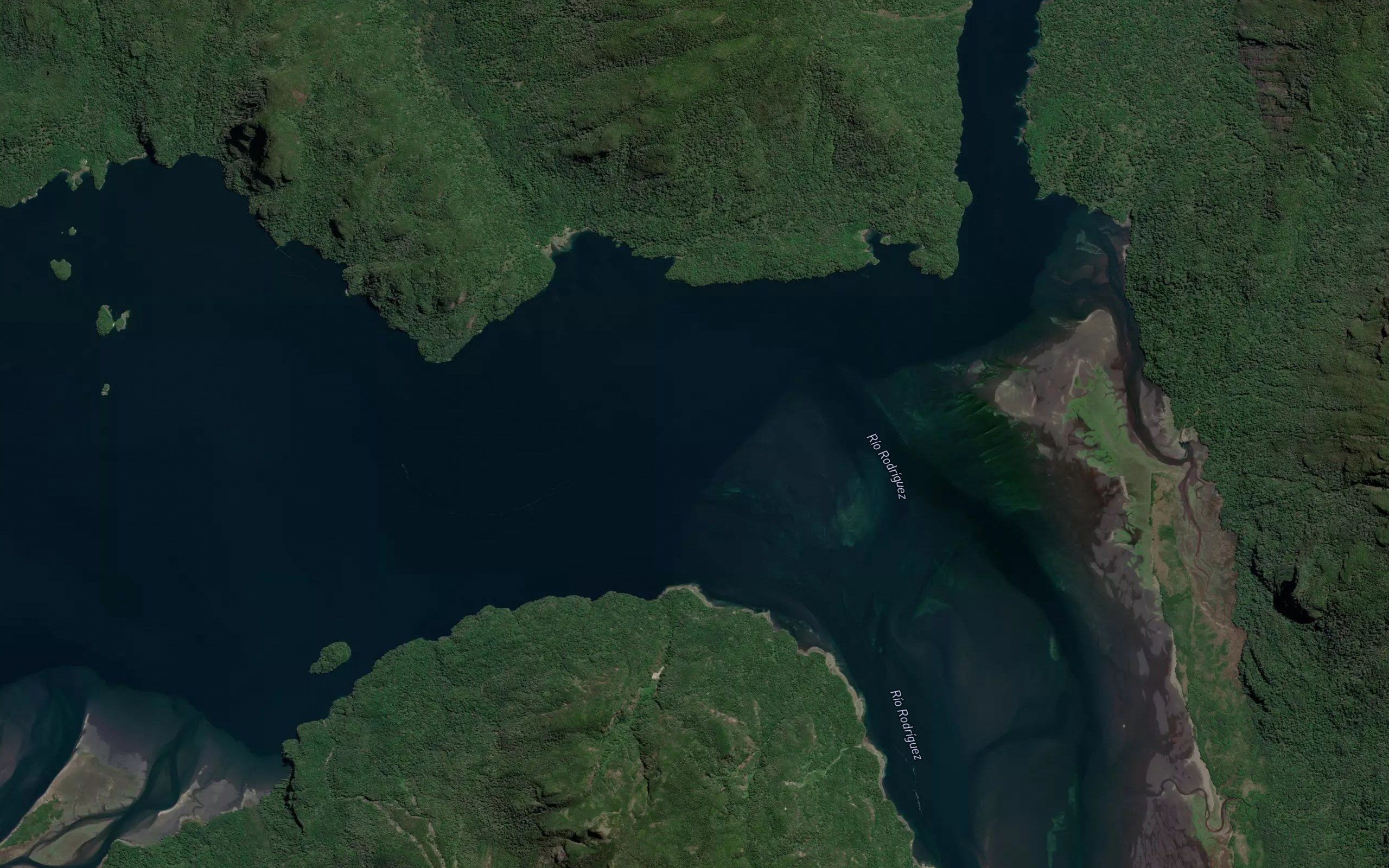 Estero Piti Palena